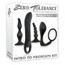 Набор стимуляторов простаты "Intro to prostate kit" купить недорого анонимно круглосуточно